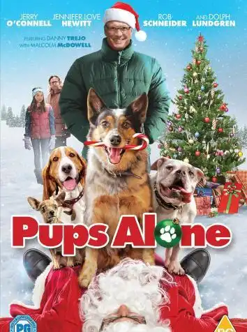 Одни дома / Pups Alone