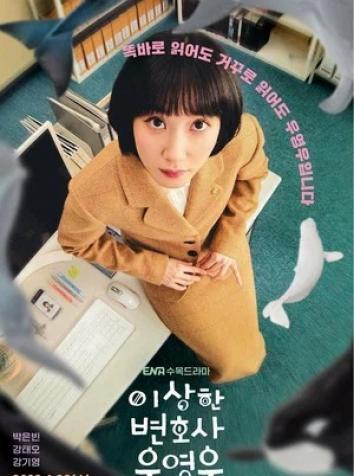 постер Необычный адвокат