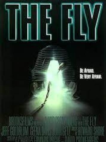 постер Муха 2