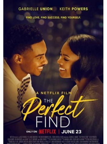 постер Идеальная находка