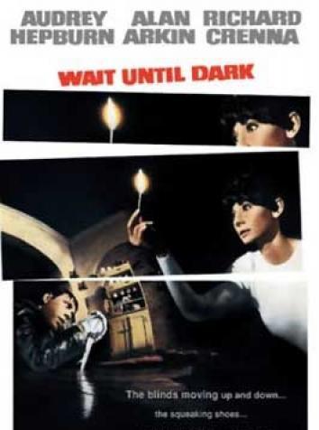 постер Дождись темноты