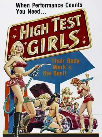 Шесть шведок с бензоколонки