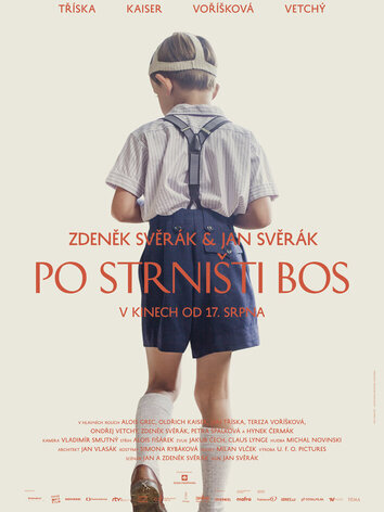 постер Босиком по стерне