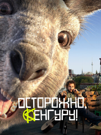 постер Осторожно, Кенгуру!