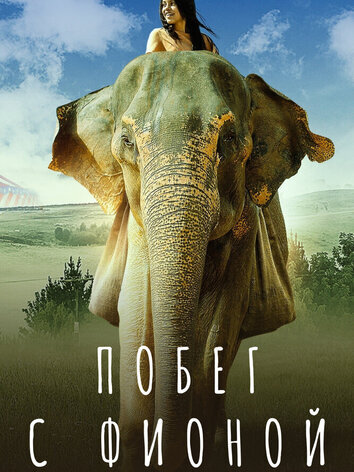 постер Побег с Фионой