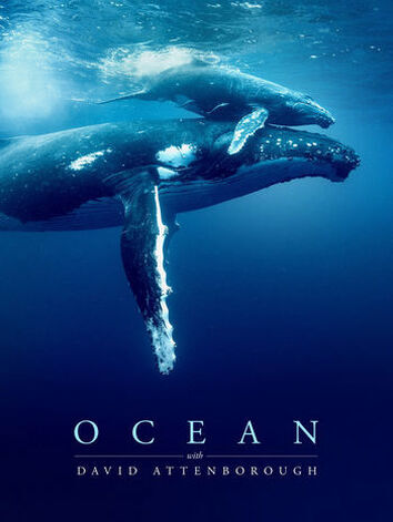 постер Океан с Дэвидом Аттенборо