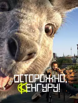 постер Осторожно, Кенгуру!