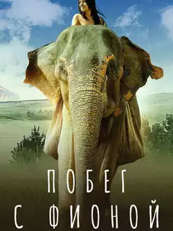 постер Побег с Фионой