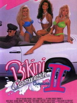 Компания по мойке машин Бикини 2